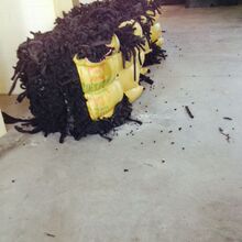 越野滑雪杖与普通滑雪杖长还是短