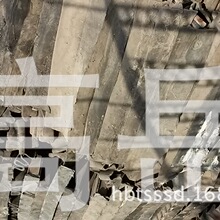 巴西男子徒手生拽美洲狮 拎起尾巴拖着走 野兽随后突然挣脱