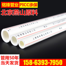 体操世锦赛2025