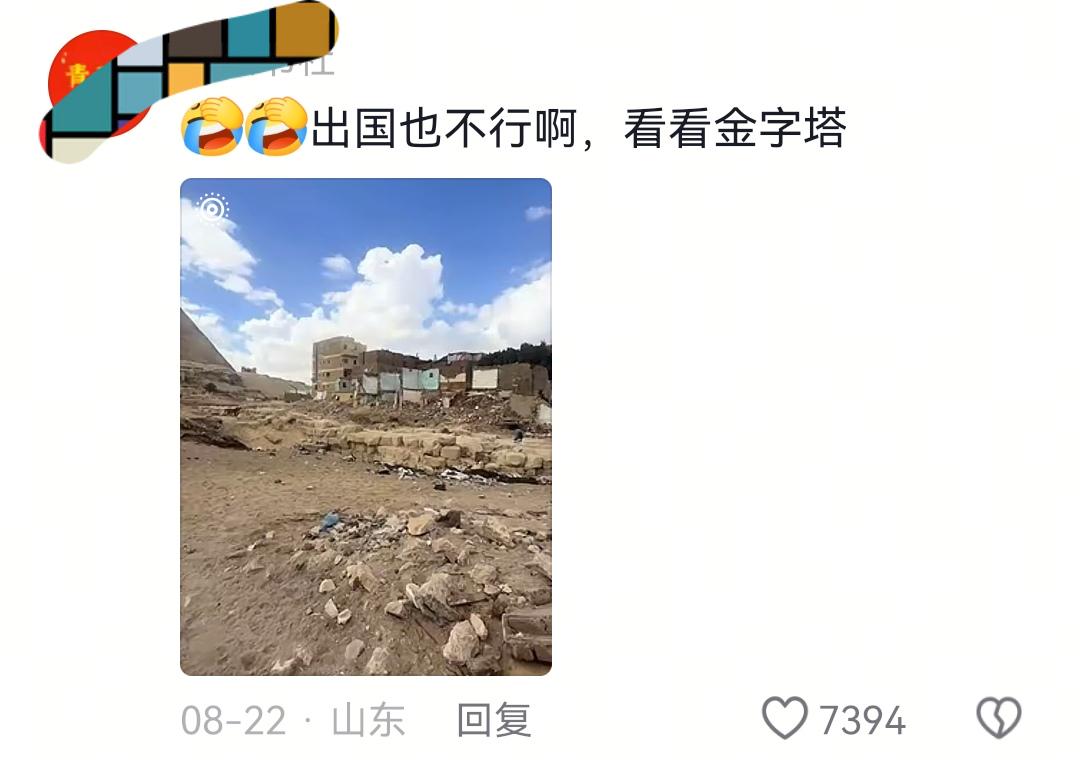 自由式滑雪英文
